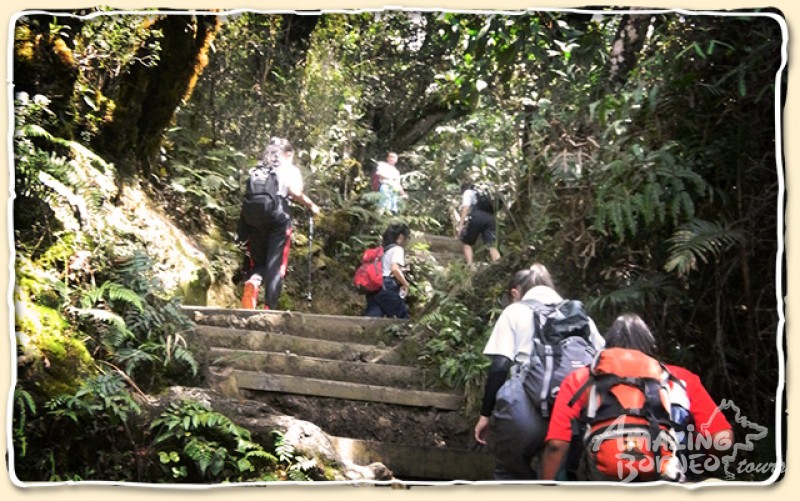 Mount Kinabalu Fast Track